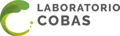 logo cobas footer